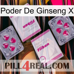 Ginseng Power X 33